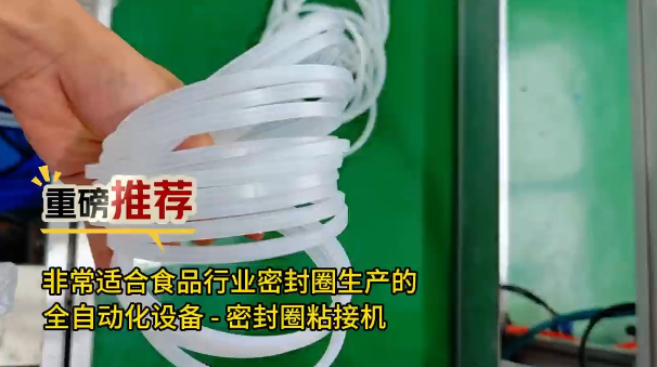 「視頻」重磅推薦！非常適合食品工業(yè)密封圈生產(chǎn)的全自動(dòng)化設(shè)備--密封圈粘接機(jī)